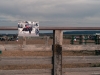 _LZP6279.jpg
