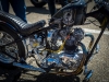 _LZP2645.jpg