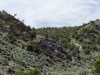 _LZP9044.jpg