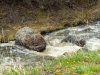_LZP9092.jpg