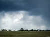_LZP9122.jpg