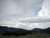 _LZP9128.jpg