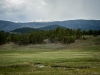 _LZP9134.jpg