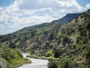 _LZP9202.jpg