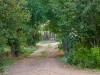 _LZP1123.jpg