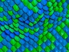 _LZP1204.jpg