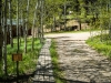 _LZP9294.jpg